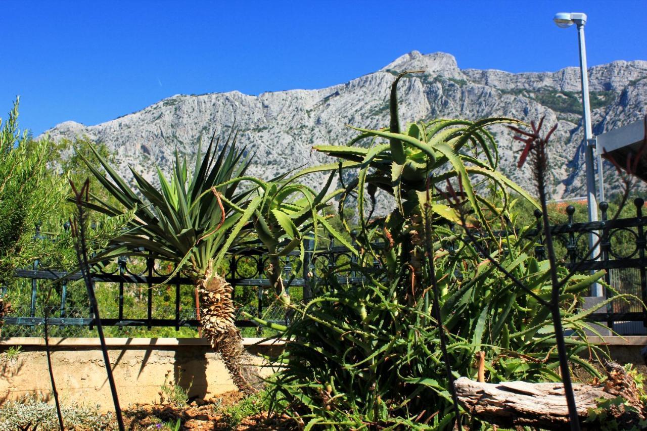 Apartments With A Parking Space Orebic, Peljesac - 10157 Exterior photo